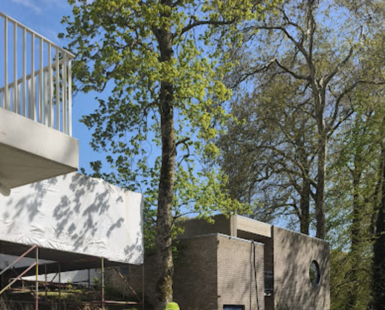 Home Brugmann Cpas — photo 2